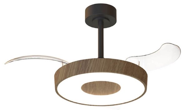 Chytrý stropní ventilátor LED Coin Mini, dřevo/černá – Mantra Mantra Iluminación, Coin Mini, stmívatelné, Dřevo, Obývací pokoj, Kov, Moderní