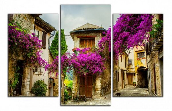 Moderní obraz Provence
