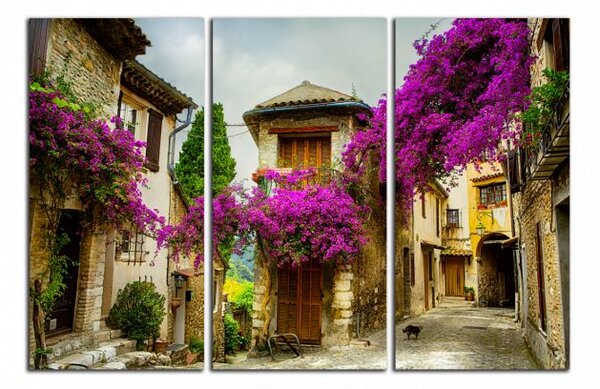 Moderní obraz Provence