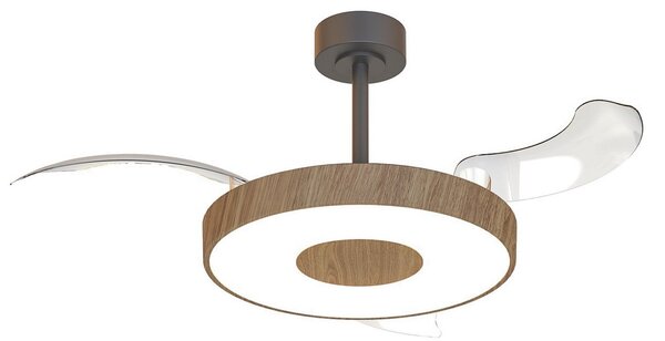 Chytrý stropní ventilátor LED Coin, dřevo/černá, tichý – Mantra Mantra Iluminación, Coin, stmívatelné, Dřevo, Obývací pokoj, Kov, Moderní