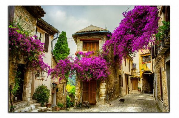 Moderní obraz Provence