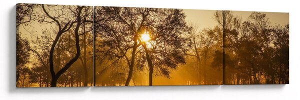 Obraz východu slunce (170x50 cm)