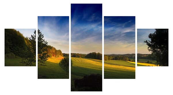 Obraz - Horská louka (125x70 cm)