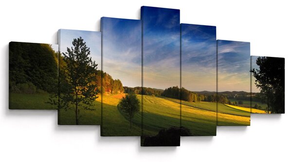 Obraz - Horská louka (210x100 cm)