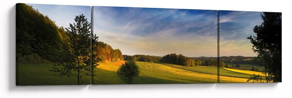 Obraz - Horská louka (170x50 cm)