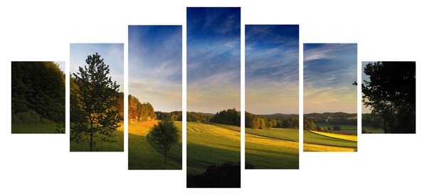 Obraz - Horská louka (210x100 cm)