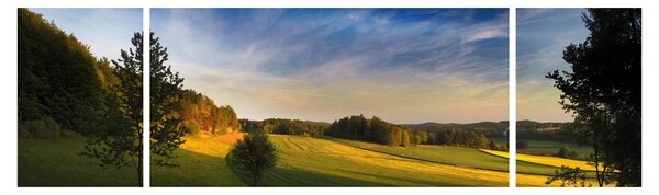 Obraz - Horská louka (170x50 cm)