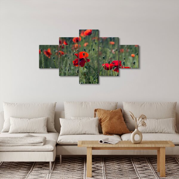Obraz - Louka s Vlčími máky (125x70 cm)