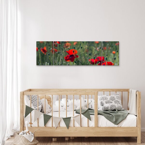 Obraz - Louka s Vlčími máky (170x50 cm)