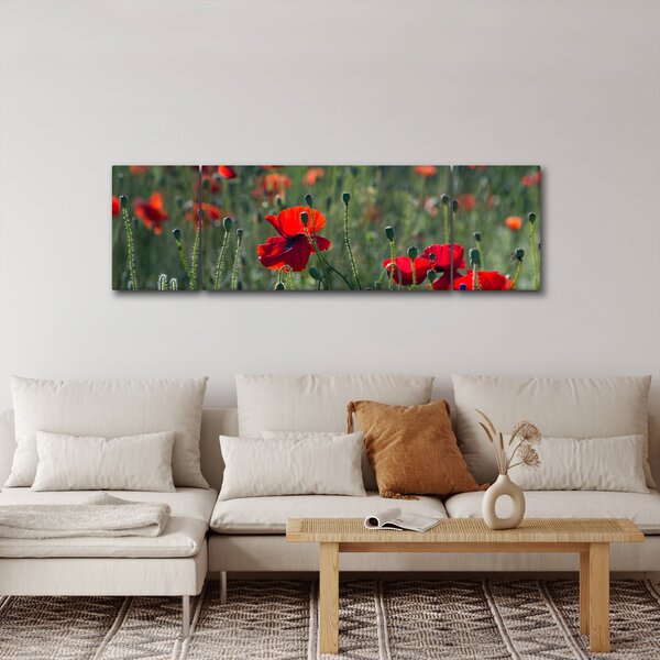 Obraz - Louka s Vlčími máky (170x50 cm)