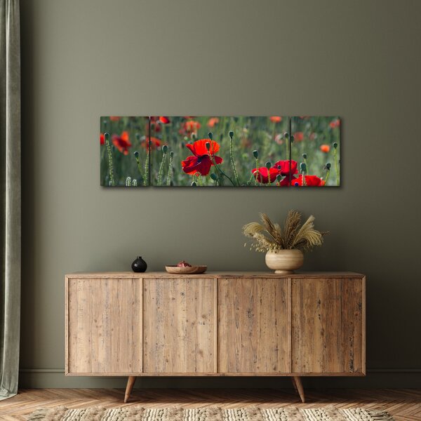 Obraz - Louka s Vlčími máky (170x50 cm)