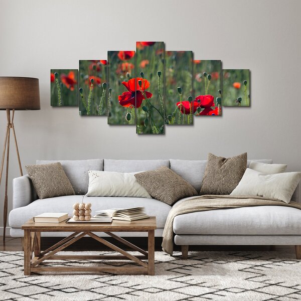 Obraz - Louka s Vlčími máky (210x100 cm)
