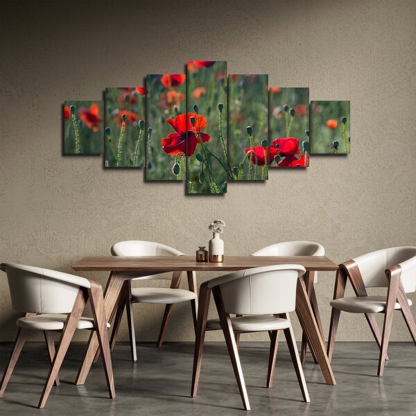 Obraz - Louka s Vlčími máky (210x100 cm)