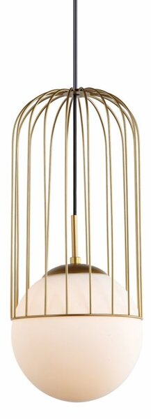 MDM-3940/1 GD ITALUX Matty 25,5 cm moderní závěsné svítidlo 1x40W E27 IP20
