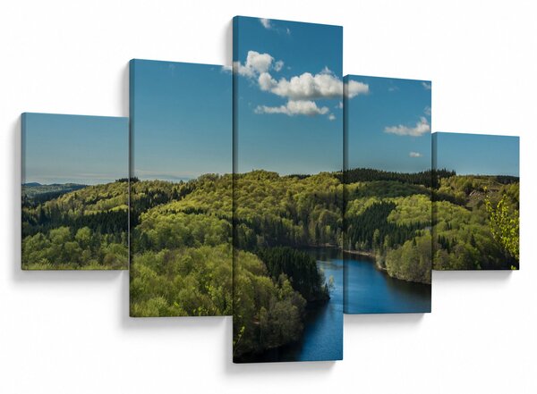 Obraz - Jezero v lesích (125x70 cm)