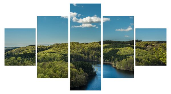 Obraz - Jezero v lesích (125x70 cm)