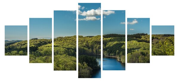 Obraz - Jezero v lesích (210x100 cm)