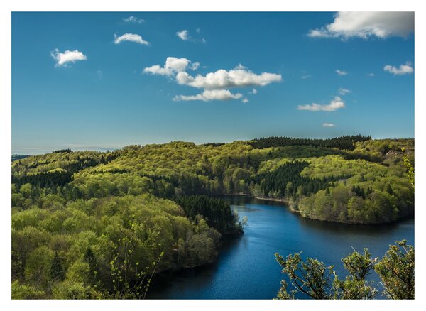 Obraz - Jezero v lesích (70x50 cm)