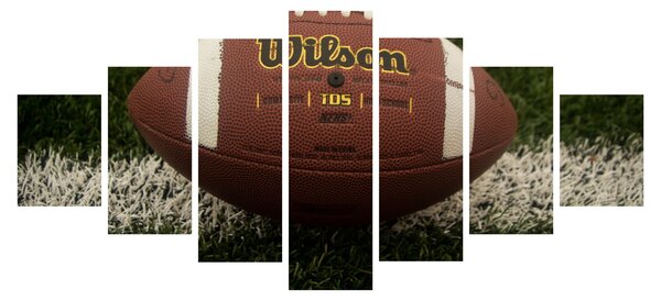 Obraz - Fotbal (210x100 cm)
