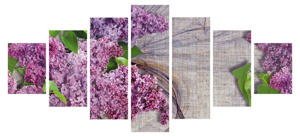 Obraz - Šeřík (210x100 cm)