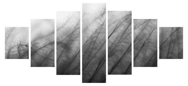 Obraz - Tráva ve větru (210x100 cm)