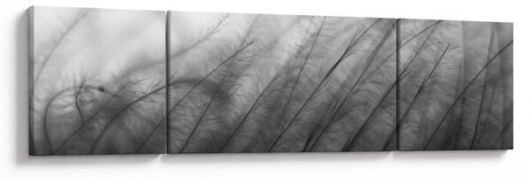 Obraz - Tráva ve větru (170x50 cm)