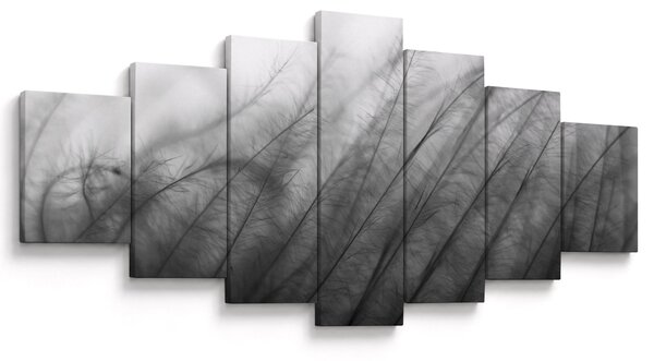 Obraz - Tráva ve větru (210x100 cm)