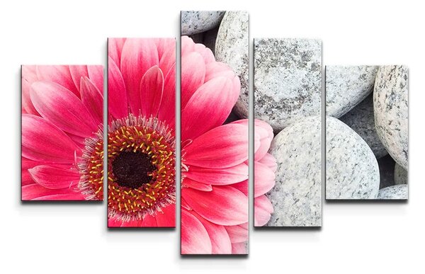 Sablio Obraz - 5-dílný Gerbera na kamenech - 125x90 cm