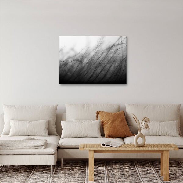 Obraz - Tráva ve větru (70x50 cm)