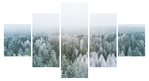 Obraz - Zasněžené vrcholky lesů (125x70 cm)