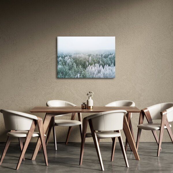 Obraz - Zasněžené vrcholky lesů (70x50 cm)