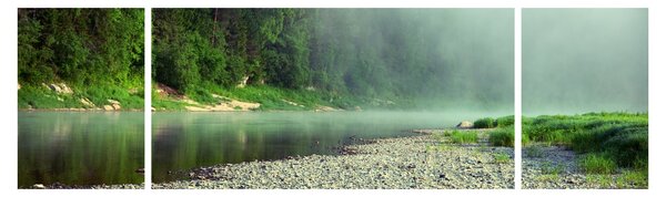 Obraz - Řeka u lesa (170x50 cm)