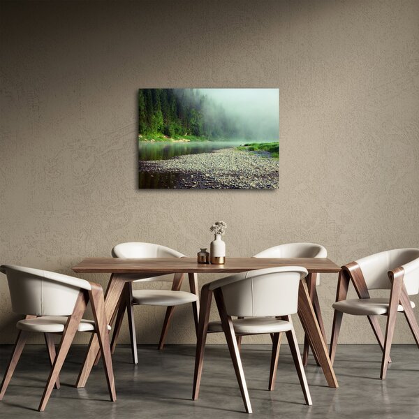 Obraz - Řeka u lesa (70x50 cm)