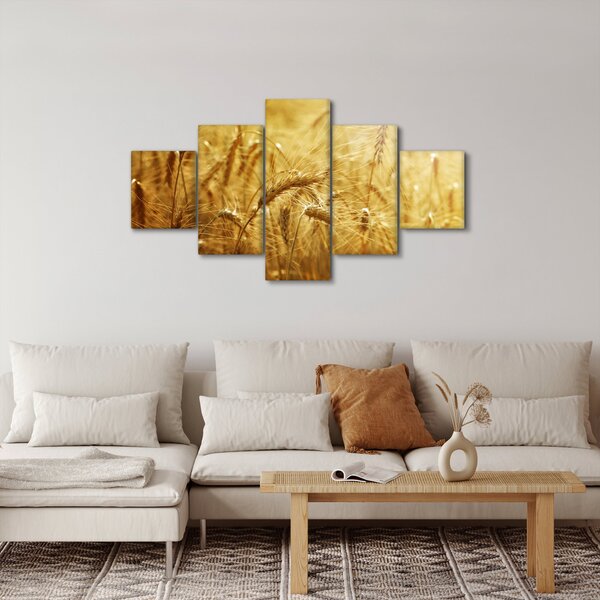Obraz - Klasy obilí (125x70 cm)
