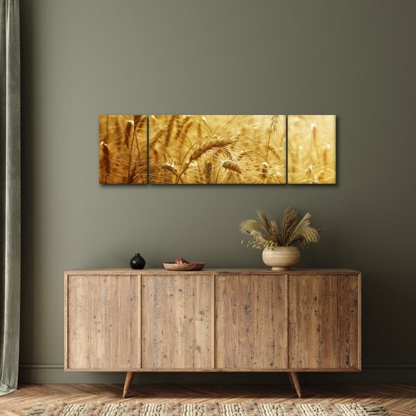Obraz - Klasy obilí (170x50 cm)