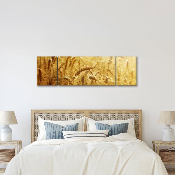 Obraz - Klasy obilí (170x50 cm)