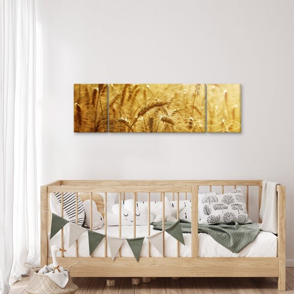 Obraz - Klasy obilí (170x50 cm)