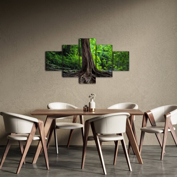 Obraz - Starý strom s kořeny (125x70 cm)