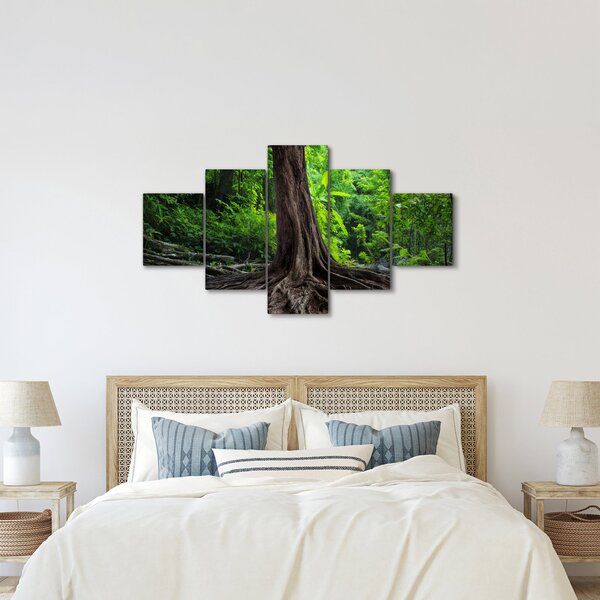 Obraz - Starý strom s kořeny (125x70 cm)