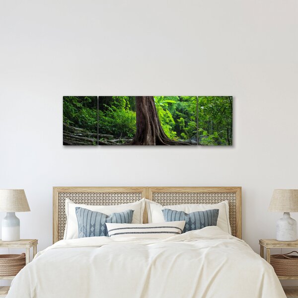 Obraz - Starý strom s kořeny (170x50 cm)