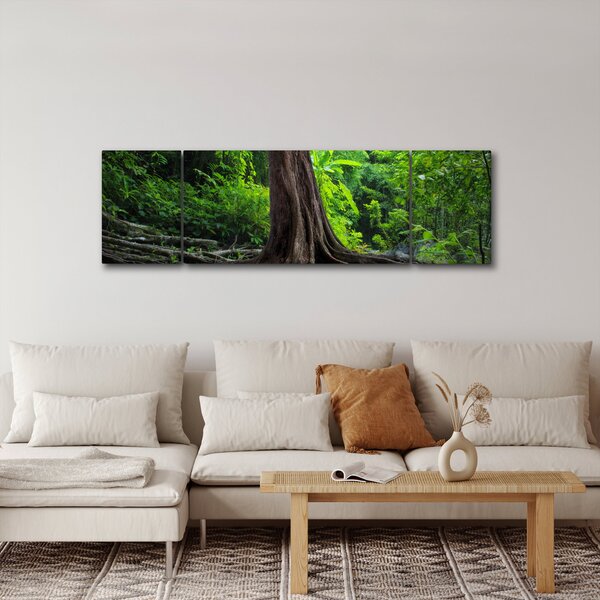Obraz - Starý strom s kořeny (170x50 cm)