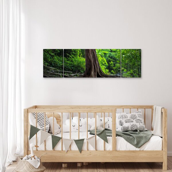 Obraz - Starý strom s kořeny (170x50 cm)