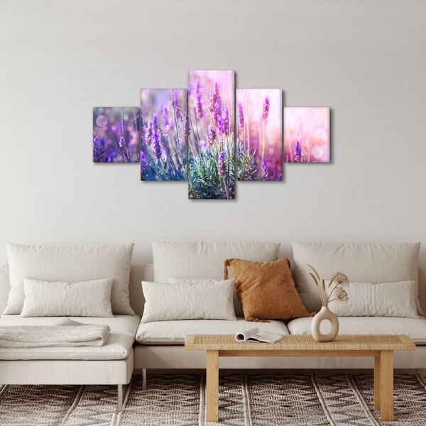 Obraz - Levandule ve třpytu slunce (125x70 cm)