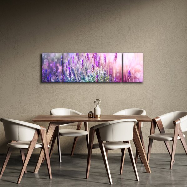 Obraz - Levandule ve třpytu slunce (170x50 cm)