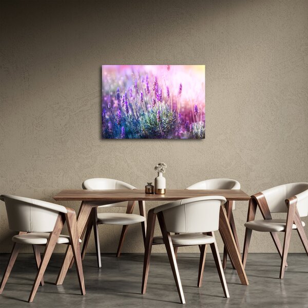 Obraz - Levandule ve třpytu slunce (70x50 cm)