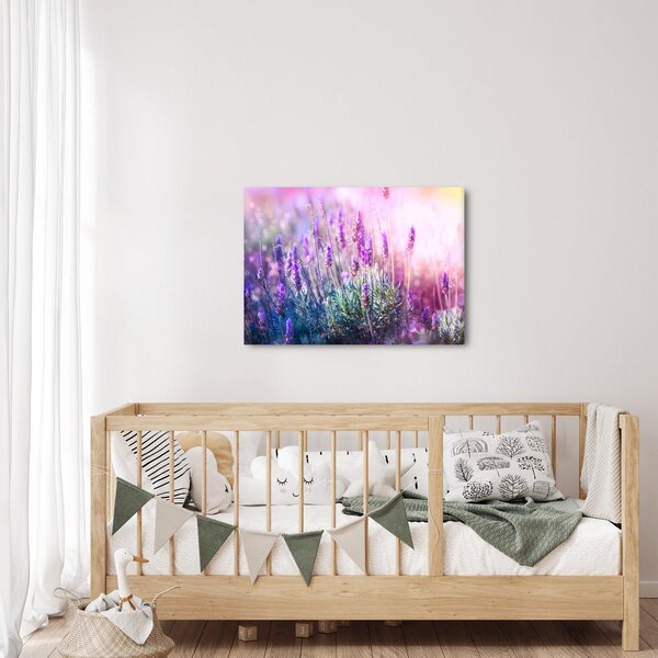 Obraz - Levandule ve třpytu slunce (70x50 cm)
