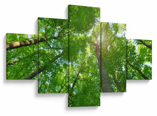 Obraz - Les (125x70 cm)