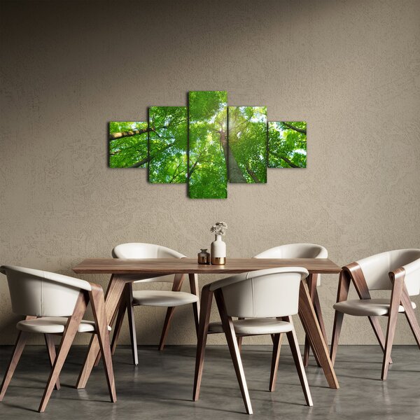 Obraz - Les (125x70 cm)