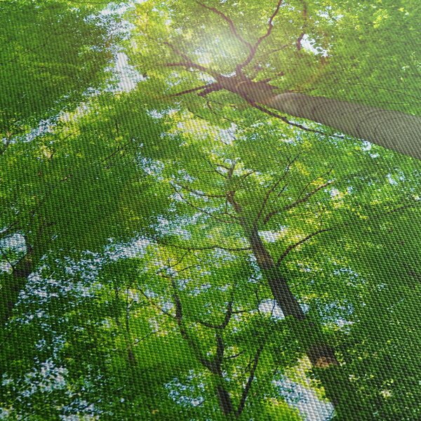 Obraz - Les (170x50 cm)