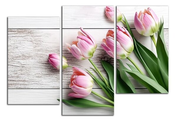 Obraz na plátně Růžové tulipány